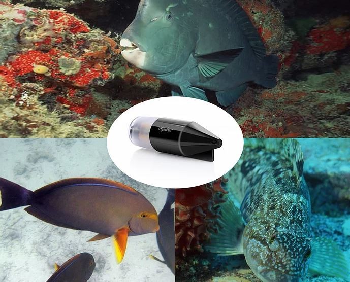 víz alatti kamera
