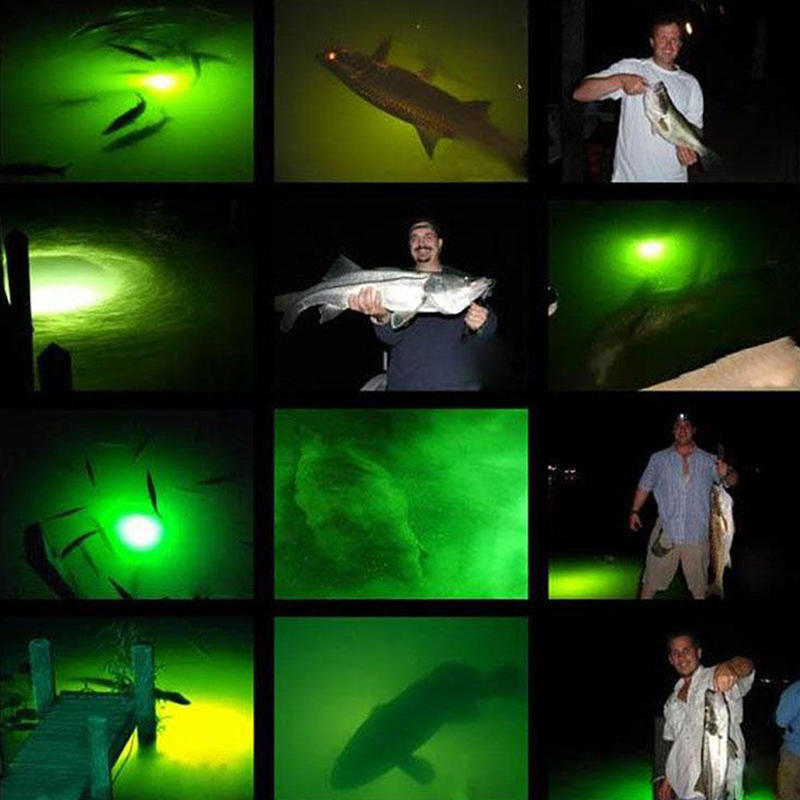zöld led hal fény