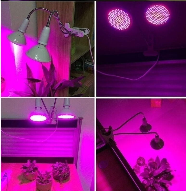 mesterséges fény a növények számára