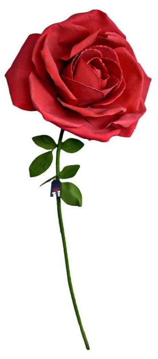 XXL hatalmas rózsa - Rózsák ajándék nőnek