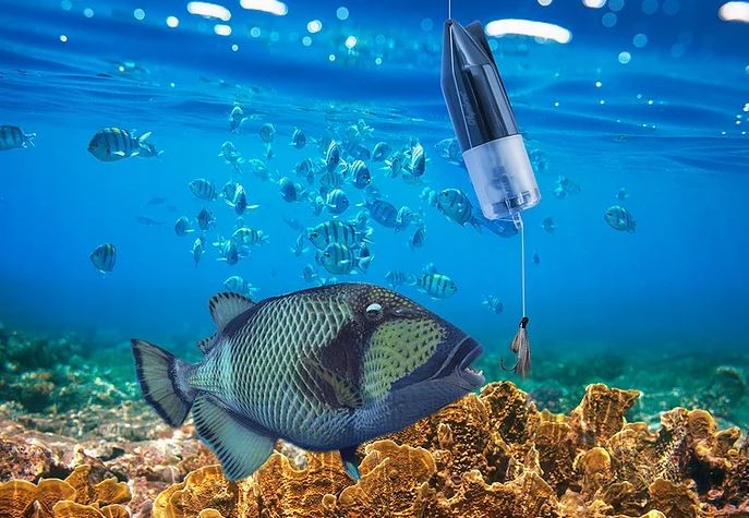 víz alatti hal kamera